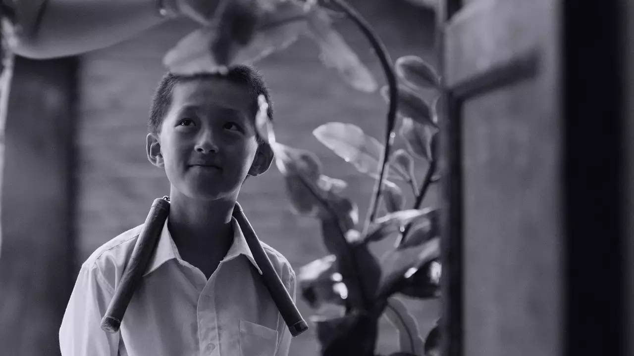 金马奖最佳电影《八月》：用生活的细枝末节，制造一场童年梦境