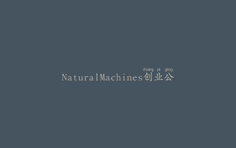 NaturalMachines创业公司涉足3D食品打印