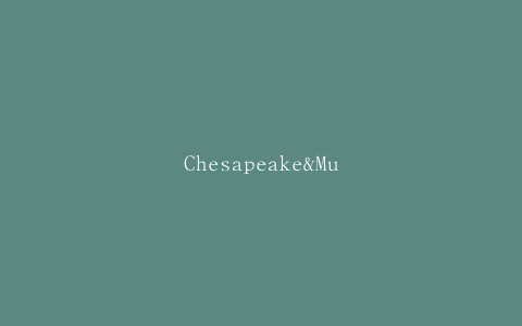 Chesapeake&MultiPackagingSolutions完成合并