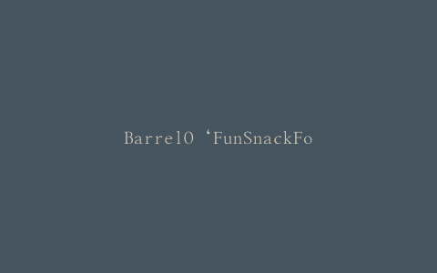 BarrelO‘FunSnackFoodsCo。回忆SafewaySnackArtist烧烤薯片